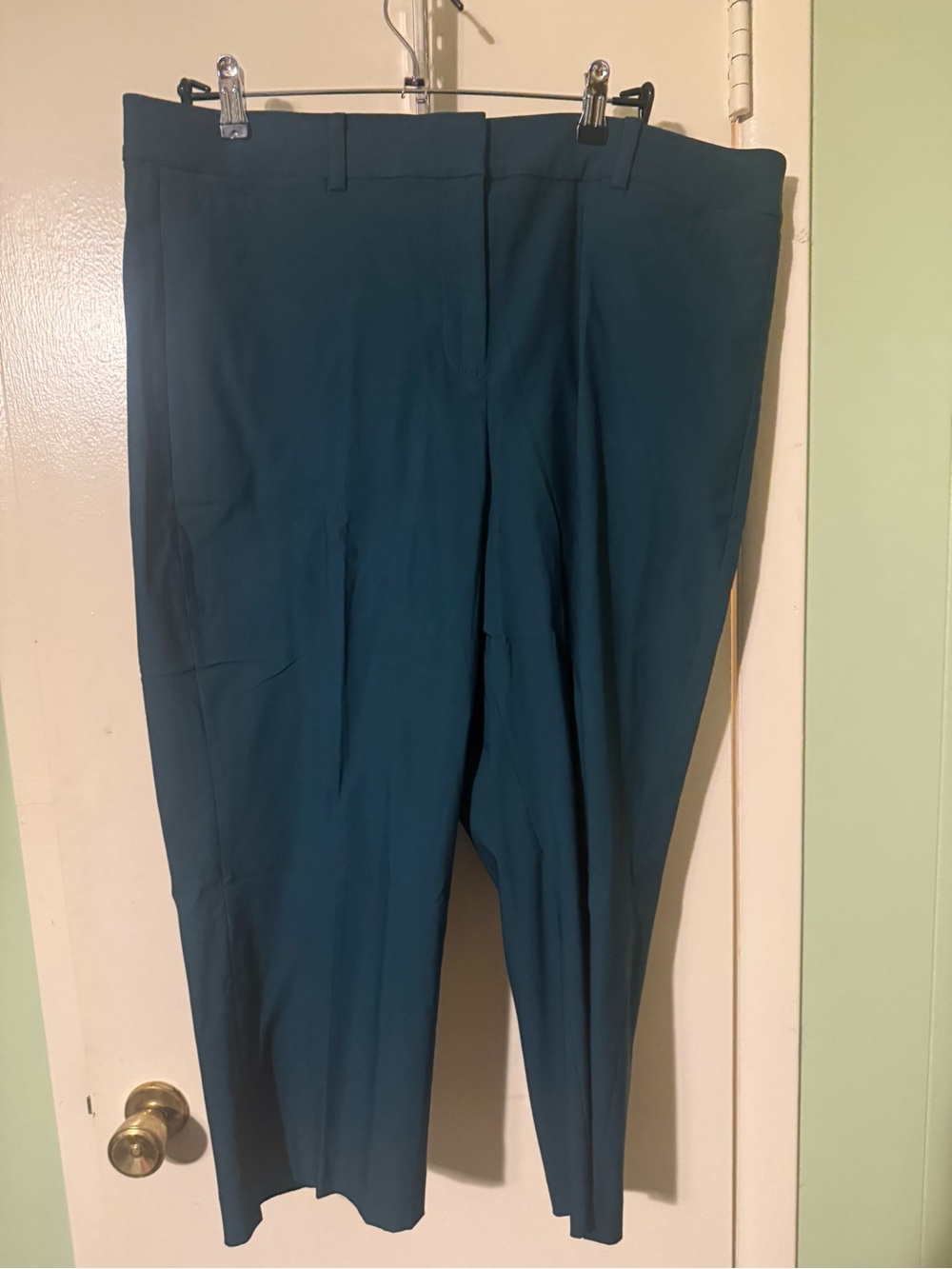 WomenTeal Dress Pants - Classic Straight Fit
